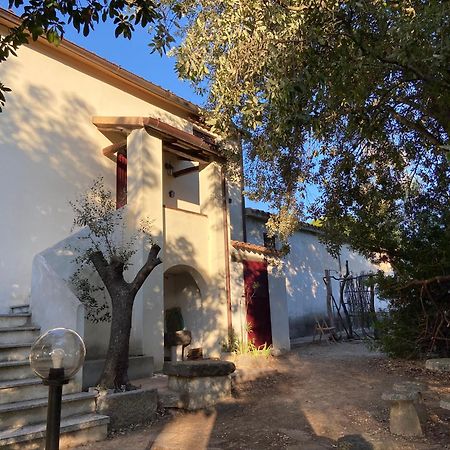 Taddore Green Lodge Galtellì Kültér fotó
