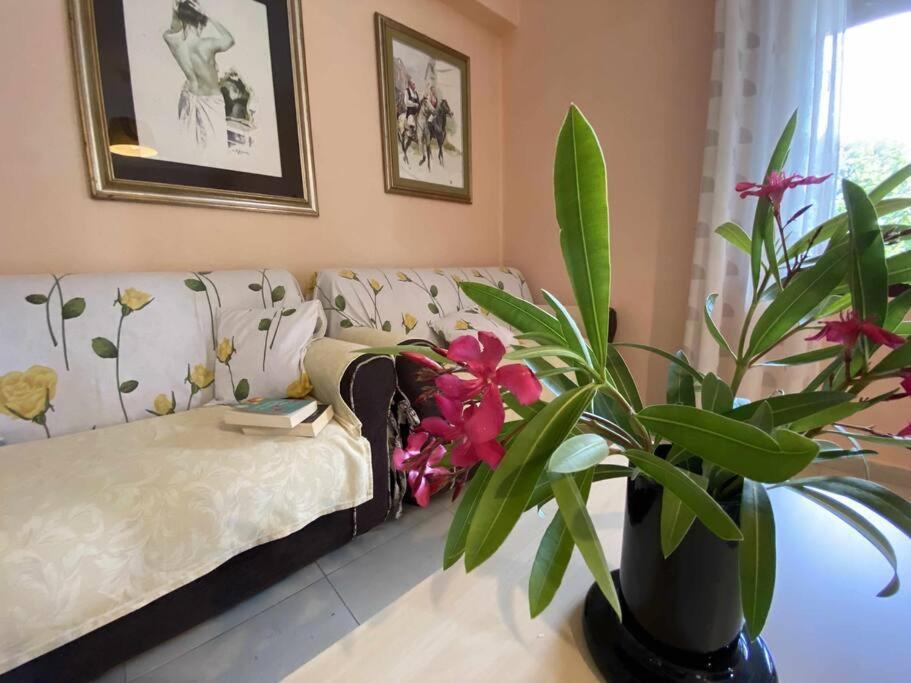 Taddore Green Lodge Galtellì Kültér fotó